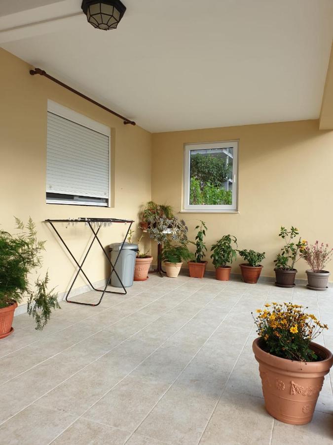 Apartment Jelena Kotor Luaran gambar