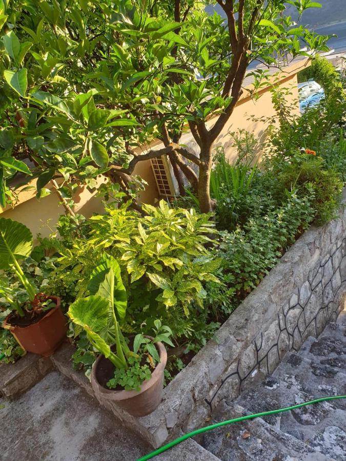 Apartment Jelena Kotor Luaran gambar
