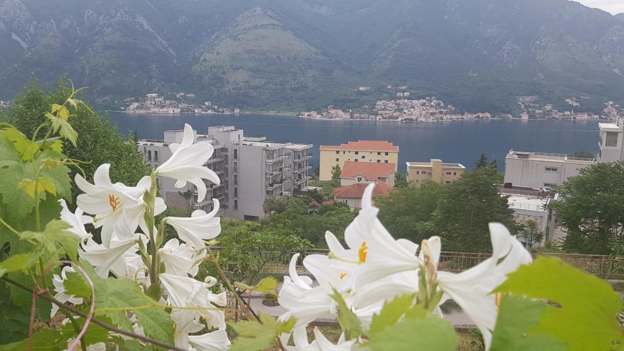 Apartment Jelena Kotor Luaran gambar